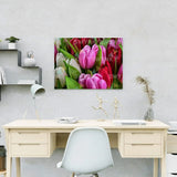 Painting by numbers Tulips