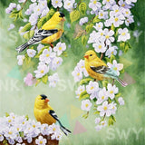 Painting by numbers Yellow Birds with White Flowers
