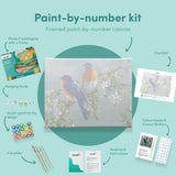 Paint by numbers 2 Fugle