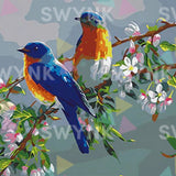 Paint by numbers 2 Fugle