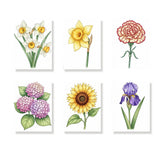 The Language of Flowers - Mini Painting by numbers Set of 6