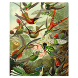 Malen nach Zahlen Rote, blaue und gelbe Vögel