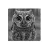 Small Owl with Big Eyes Dot Painting
