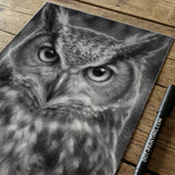 Angry Owl Dot Painting