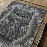 Owl Mandala 2 Dot Painting
