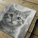 Cat with Butterfly Dot Painting