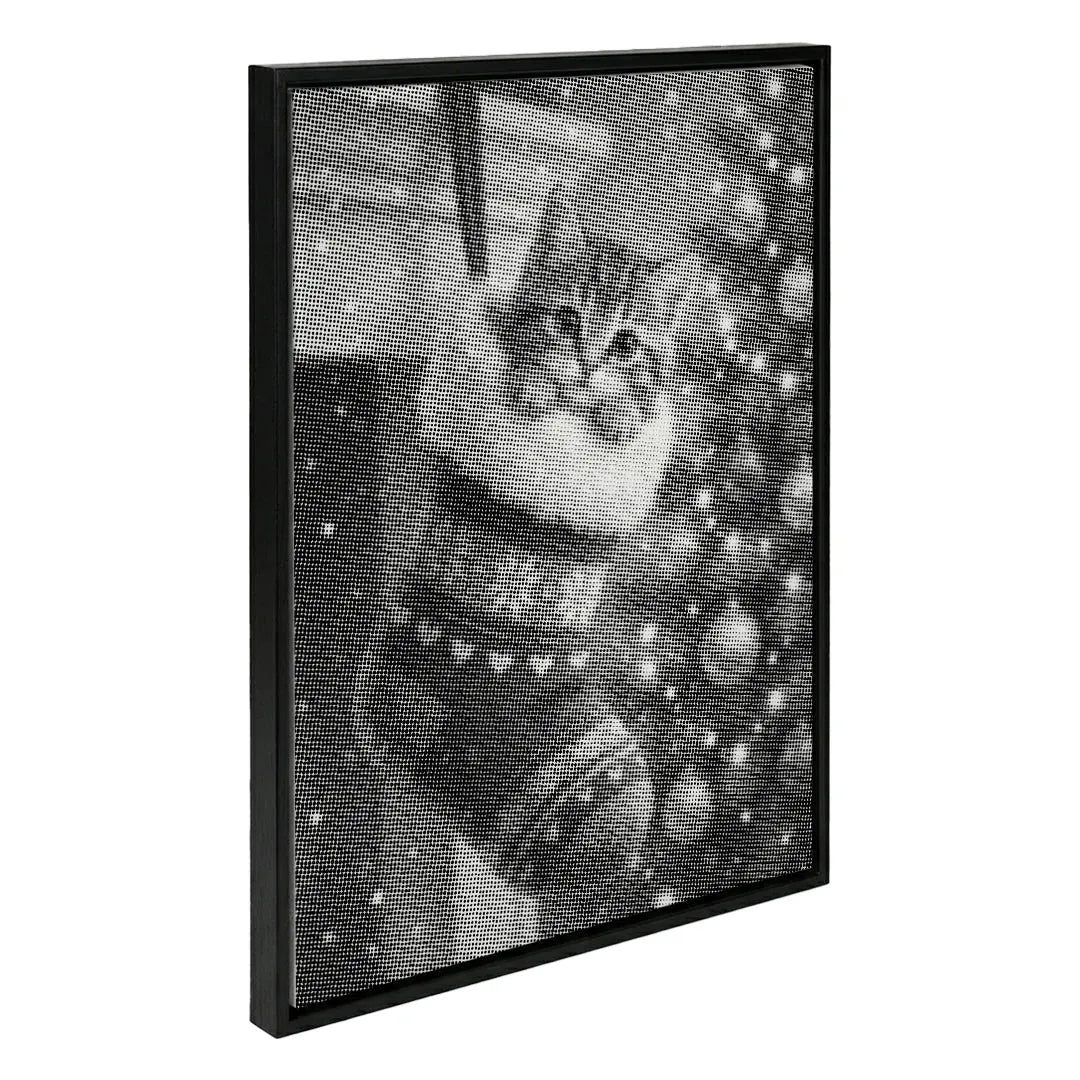 Kitten in a Christmas Sock Dot Painting