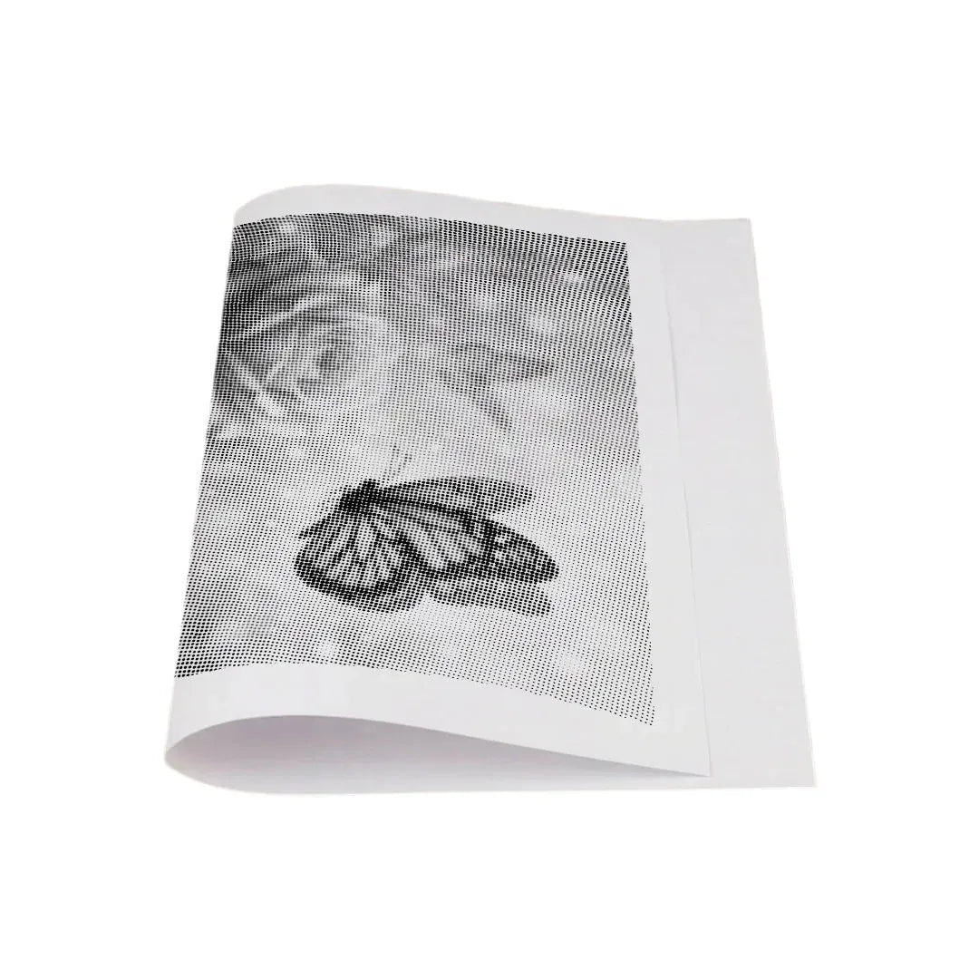 Butterfly with Roses Dot Painting